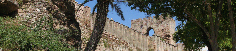 Marbella castle wall